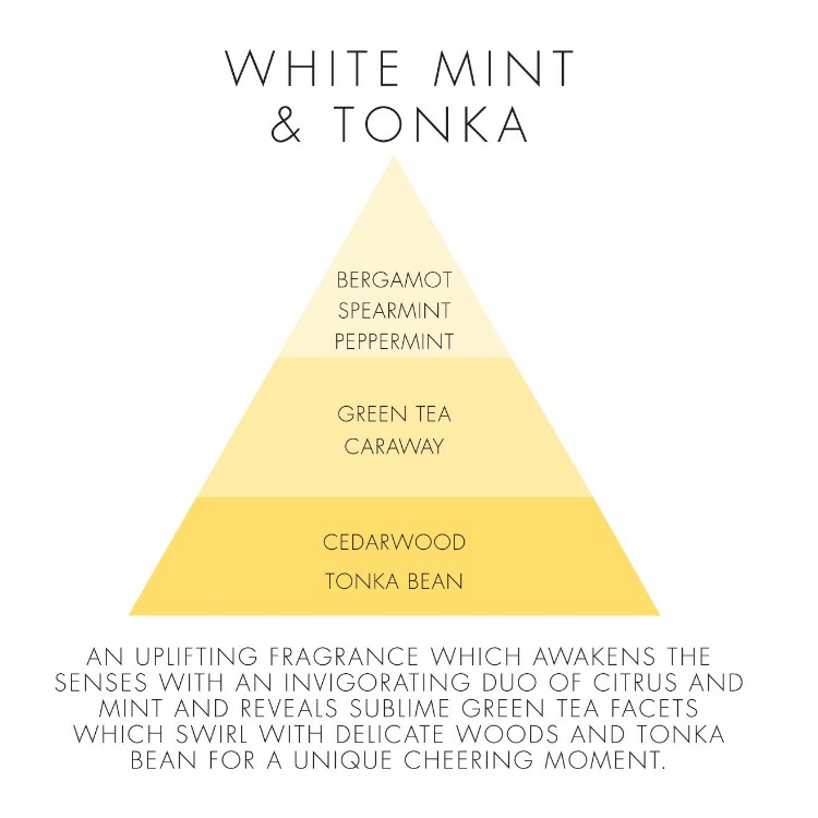 Image de White Mint & Tonka Refill Stick Diffusers 250ml