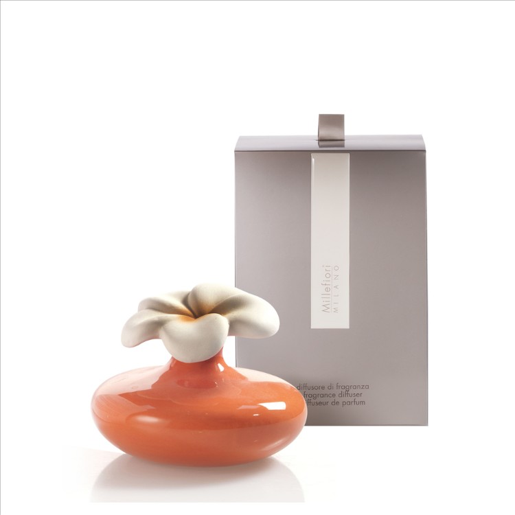 Image de Small Flower Diffuser Orange