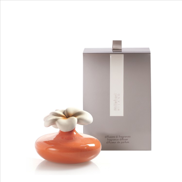 Image de Extra Small Flower Diffuser Orange