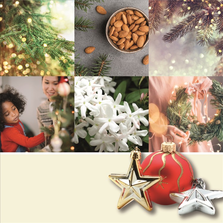 Immagine di Twinkling Lights medium Jar (mittel)
