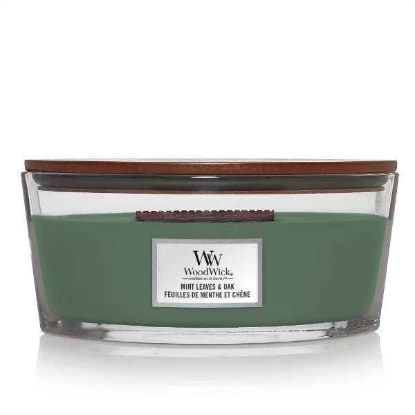 Bild für Kategorie Mint Leaves & Oak  50%
