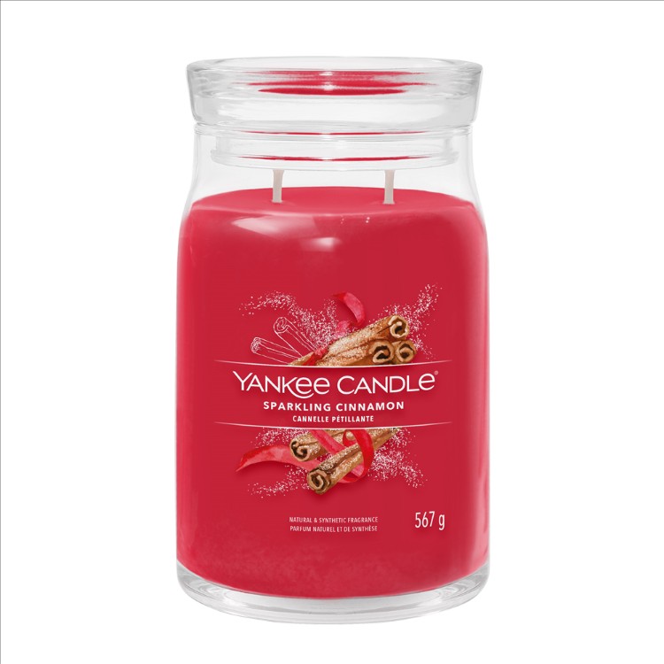 Immagine di Sparkling Cinnamon Signature Large Jar