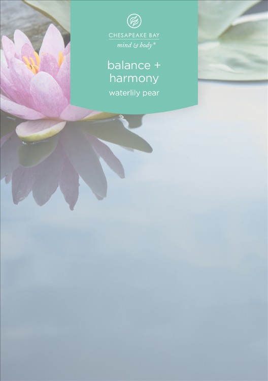 Image de Balance & Harmony 3-Wick Tumbler