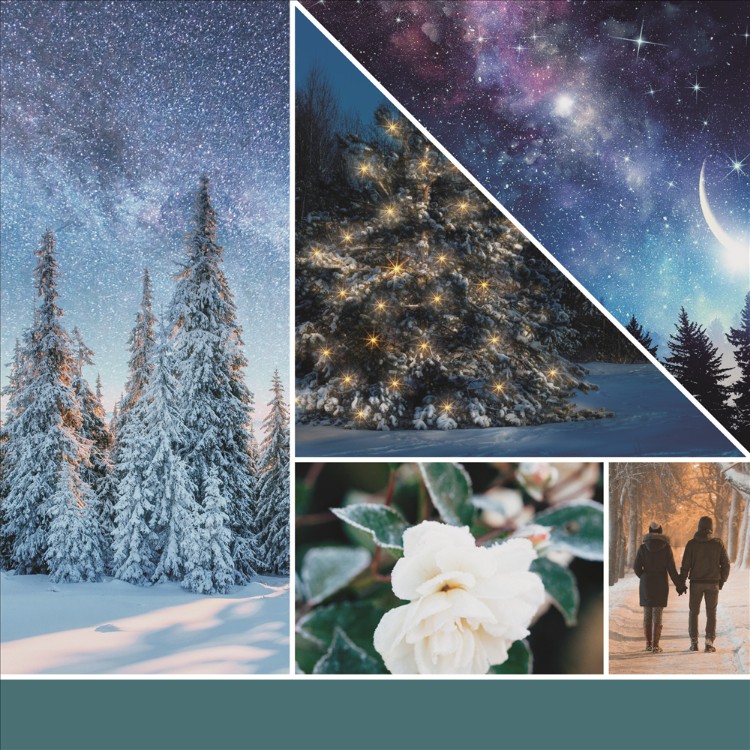 Immagine di Winter Night Stars Signature Large Jar