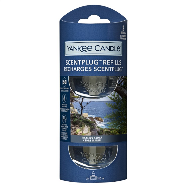 Image de Bayside Cedar Electric Refills Set of 2