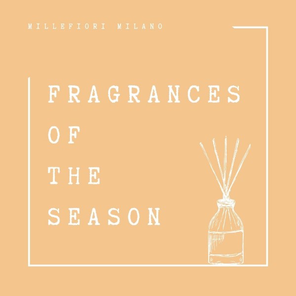 Image de la catégorie Parfums de la saison 25% 