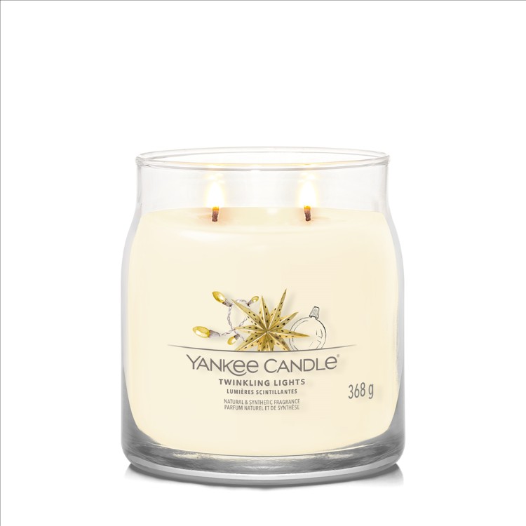 Image de Twinkling Lights Signature Medium Jar