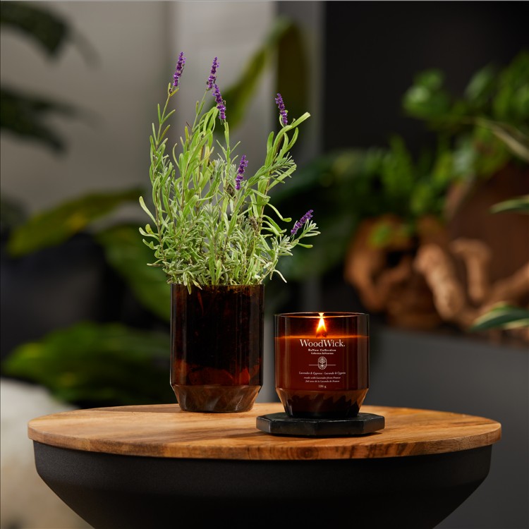 Bild von Lavender & Cypress ReNew Medium Jar