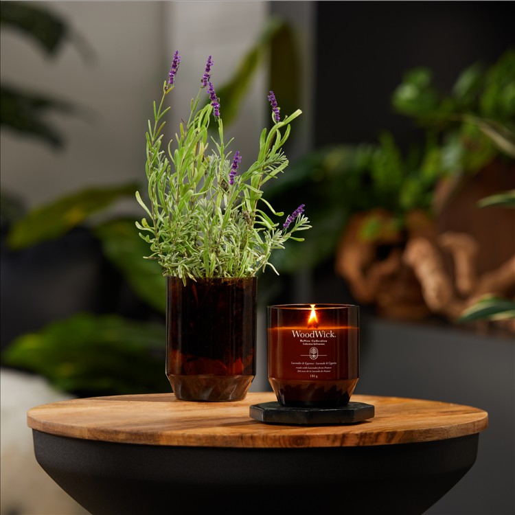 Immagine di Lavender & Cypress ReNew Medium Jar