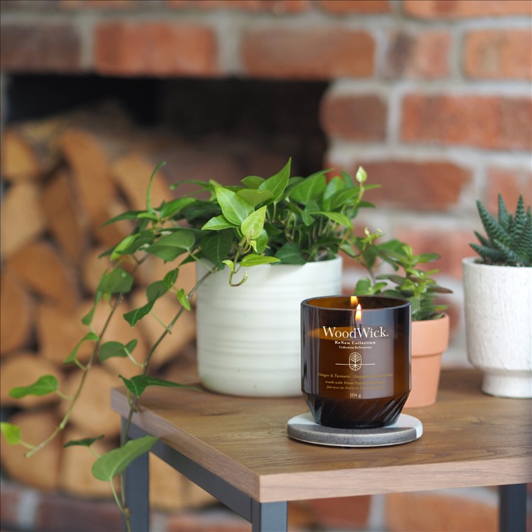 Bild von Ginger & Turmeric ReNew Medium Jar