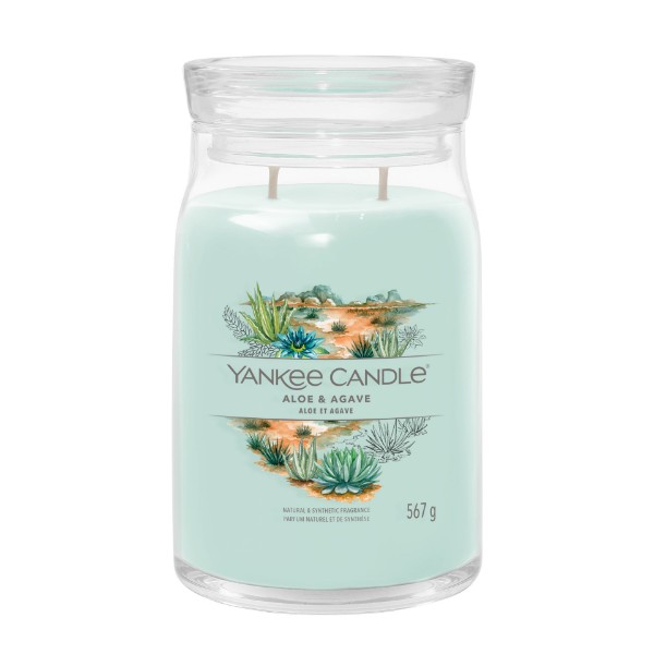 Bild für Kategorie Aloe & Agave 50%