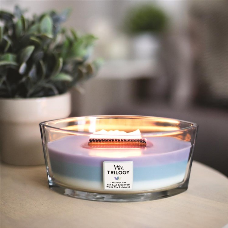 Bild von Calming Retreat Trilogy Ellipse