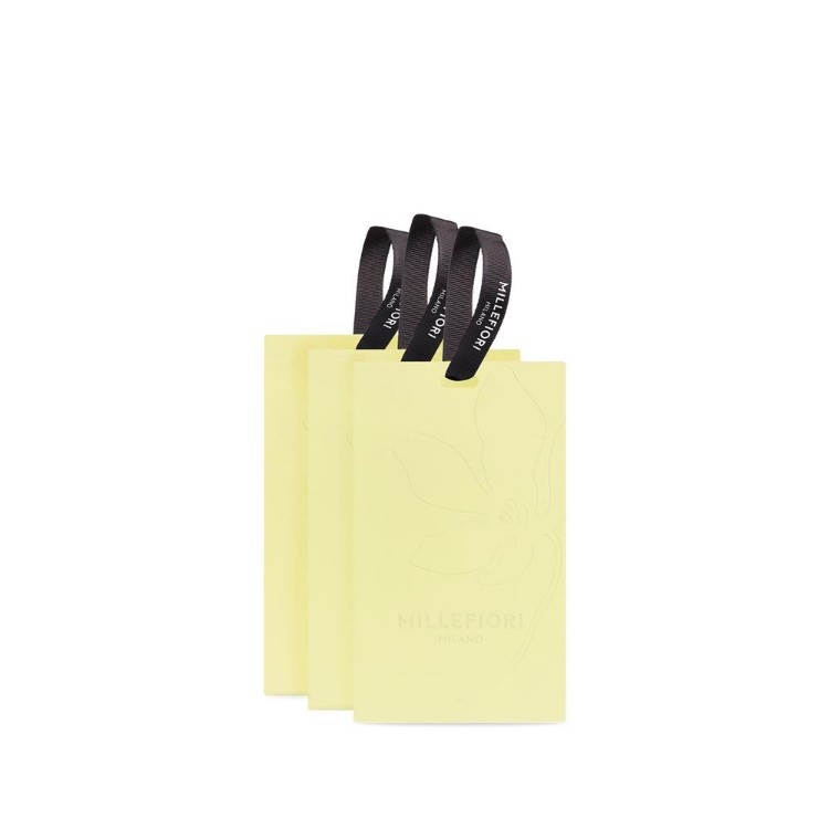 Bild von Luce di Gardenia Scented Cards 3 Pack