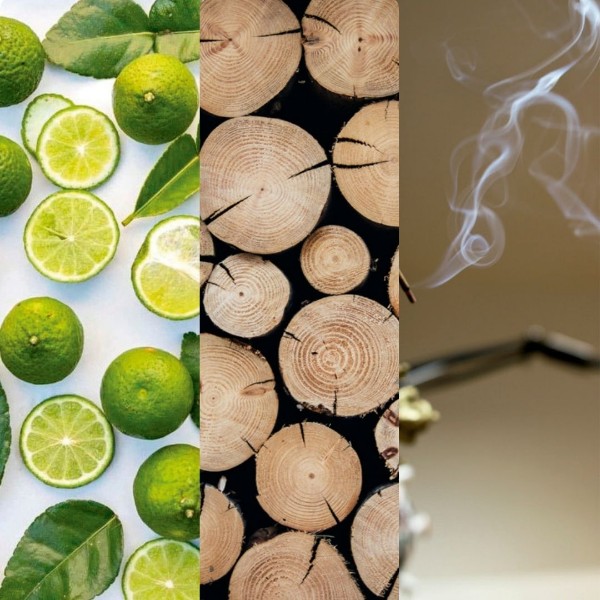 Immagine per la categoria Amber & Sandalwood