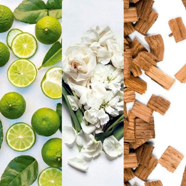 Immagine per la categoria Bergamotto di Calabria