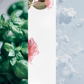 Bild für Kategorie French Linen