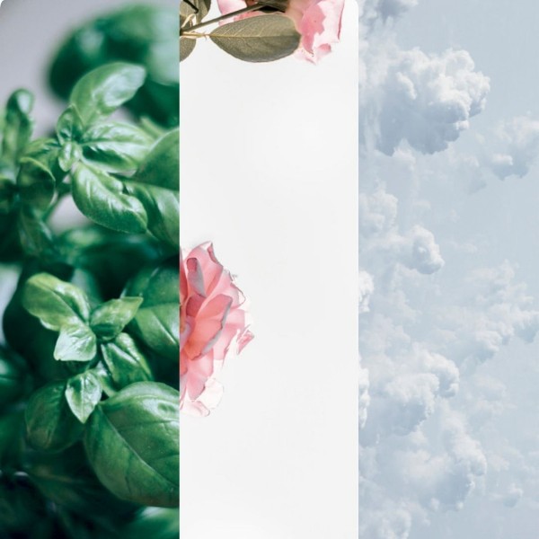 Immagine per la categoria French Linen