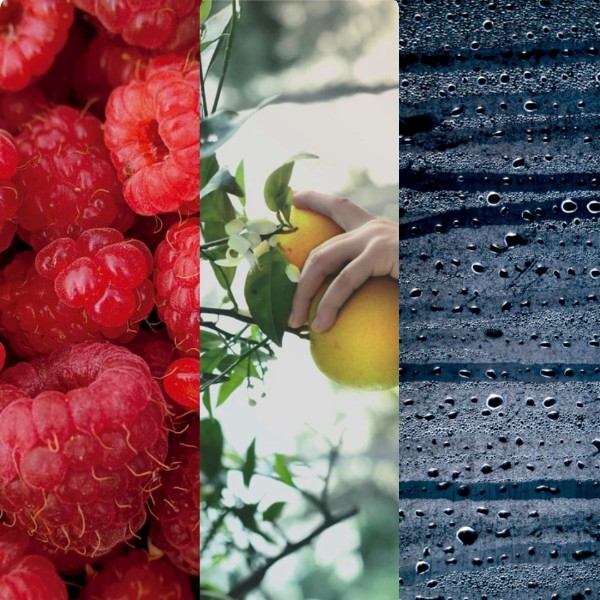 Immagine per la categoria Raspberry & Black Vanilla