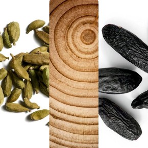 Bild für Kategorie Santal & Tonka