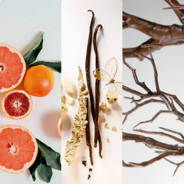 Immagine per la categoria Velvet Wood