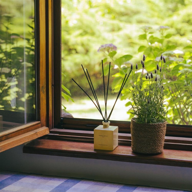 Immagine di Black Orchid & Lily Premium Reed Diffuser 250ml