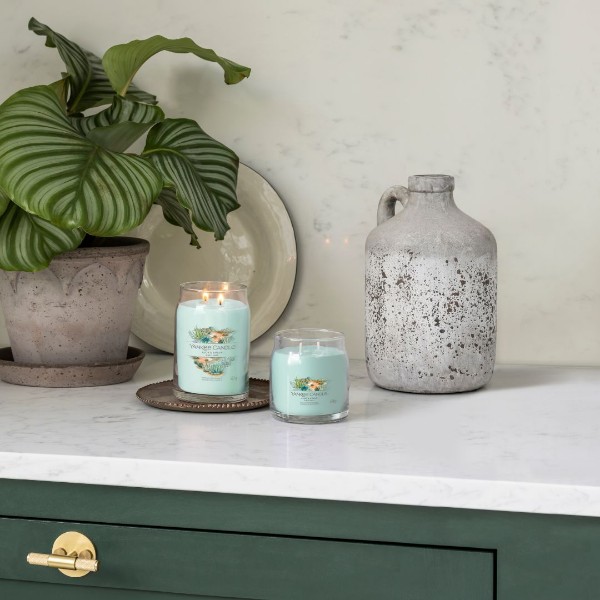 Immagine per la categoria Candele profumate Signature