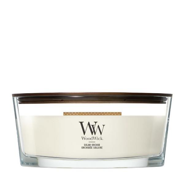 Immagine per la categoria Solar Orchid