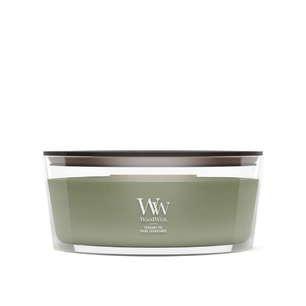 Immagine per la categoria Verdant Fig