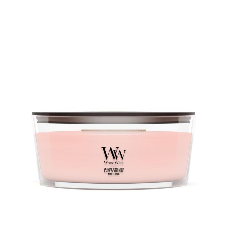 Immagine di Coastal Sunberry Ellipse