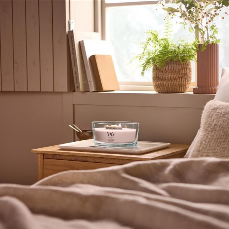 Immagine di Coastal Sunberry Ellipse