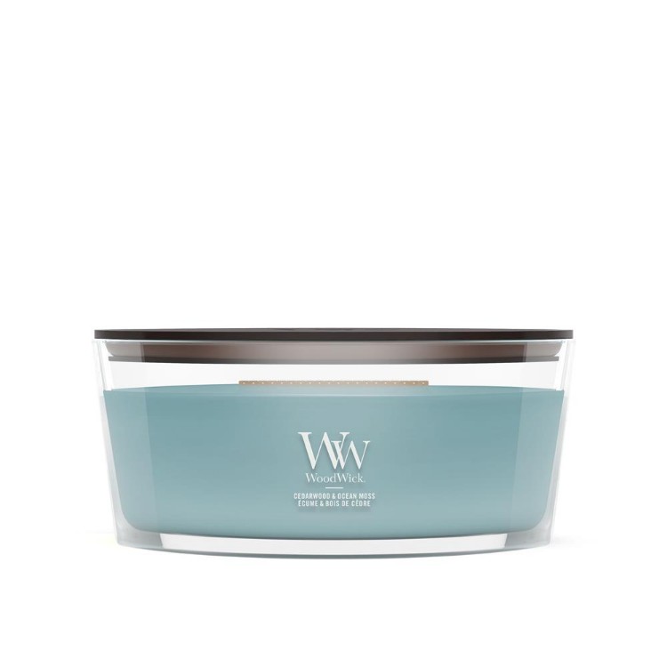 Immagine di Cedarwood & Ocean Moss Ellipse