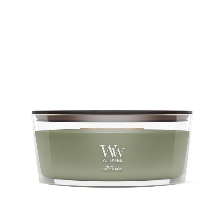 Immagine di Verdant Fig Ellipse