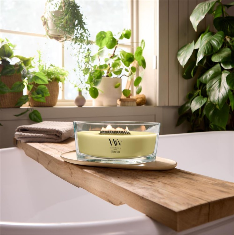 Immagine di Yuzu & Vetiver Ellipse