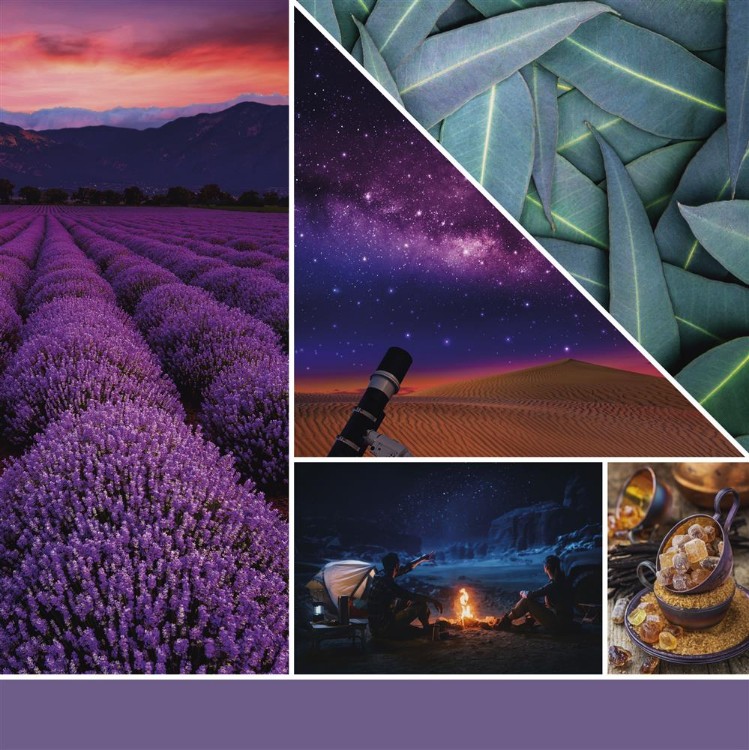 Immagine di Stargazing Signature Wax Melts