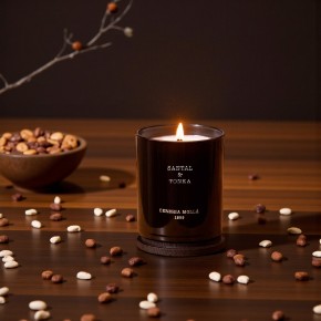 Image de la catégorie Santal & Tonka