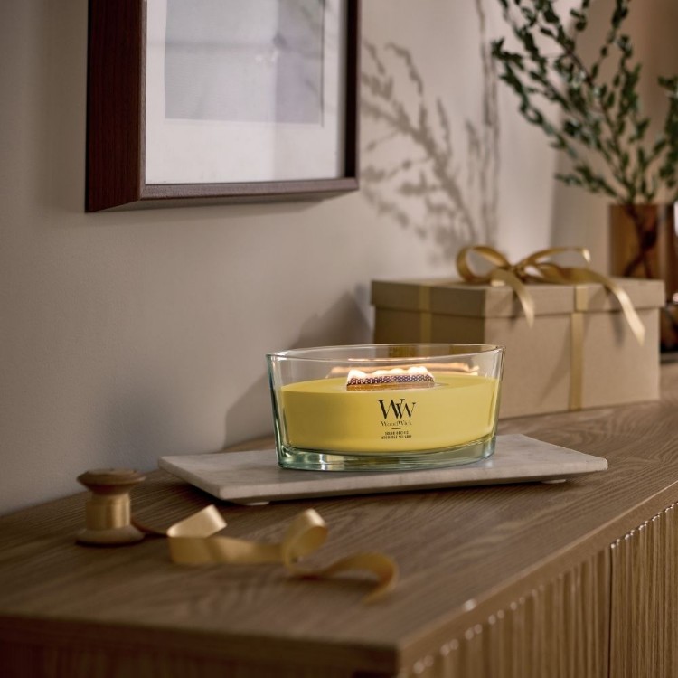 Bild von Solar Orchid Ellipse