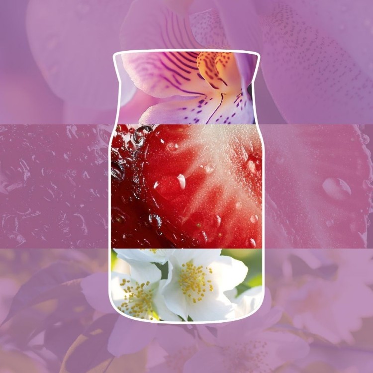 Bild von Wild Orchid Signature Wax Melts