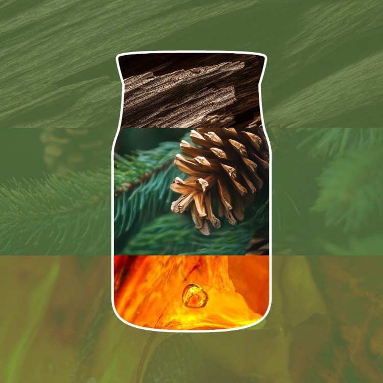 Image de Balsam & Cedar Fireside Signature Filled Votive