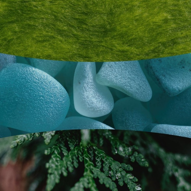 Immagine di Cedarwood & Ocean Moss Large Jar