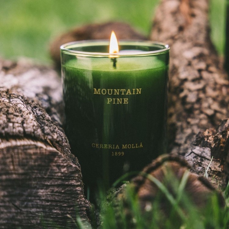 Image de Mountain Pine Premium Candle 230g
