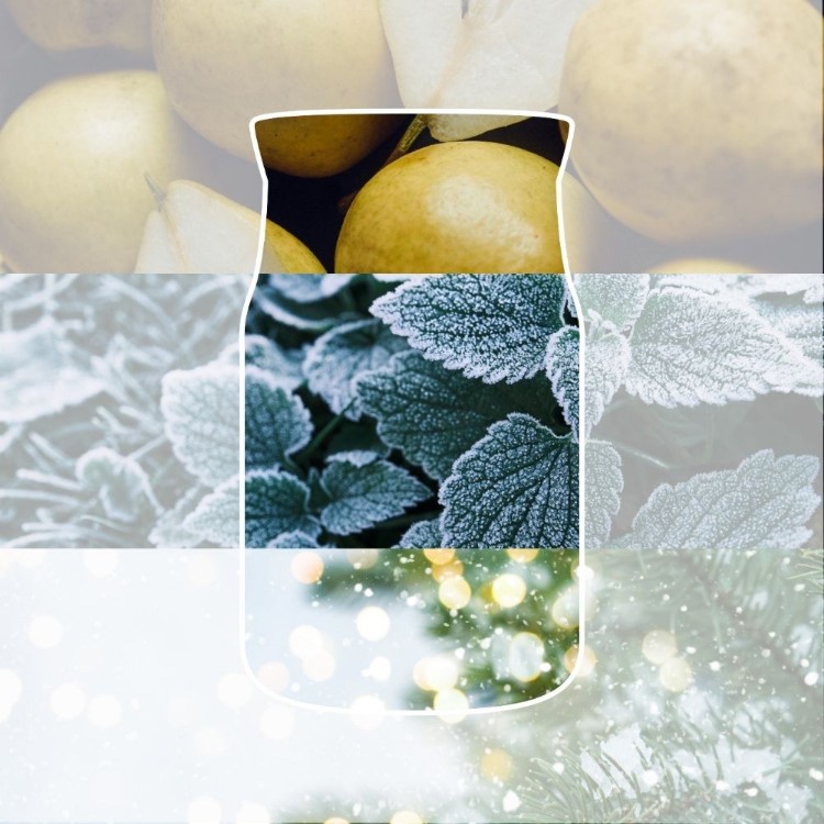 Immagine di Winter Walk Signature Medium Jar