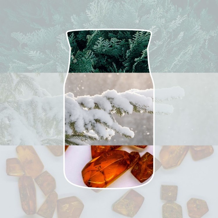 Immagine di Snow Kissed Pine Signature Large Jar