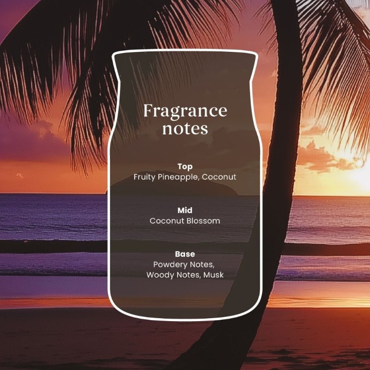Image de Black Coconut Signature Medium Jar