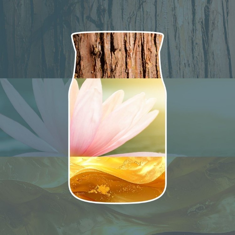 Immagine di Bayside Cedar Electric Refills Set of 2