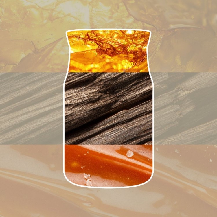 Immagine di Amber & Sandalwood Signature Reed Refill 250ml