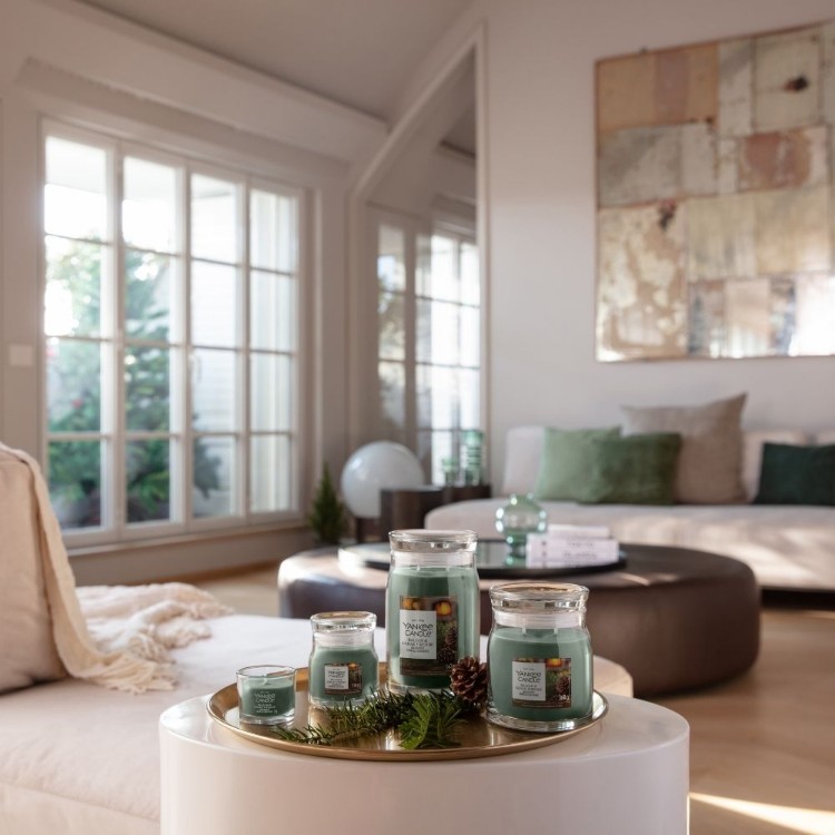 Immagine di Balsam & Cedar Fireside Signature Small Jar
