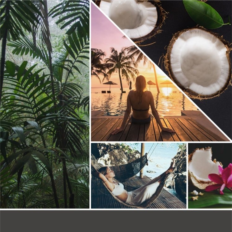 Bild von Black Coconut Electric Refills Set of 2