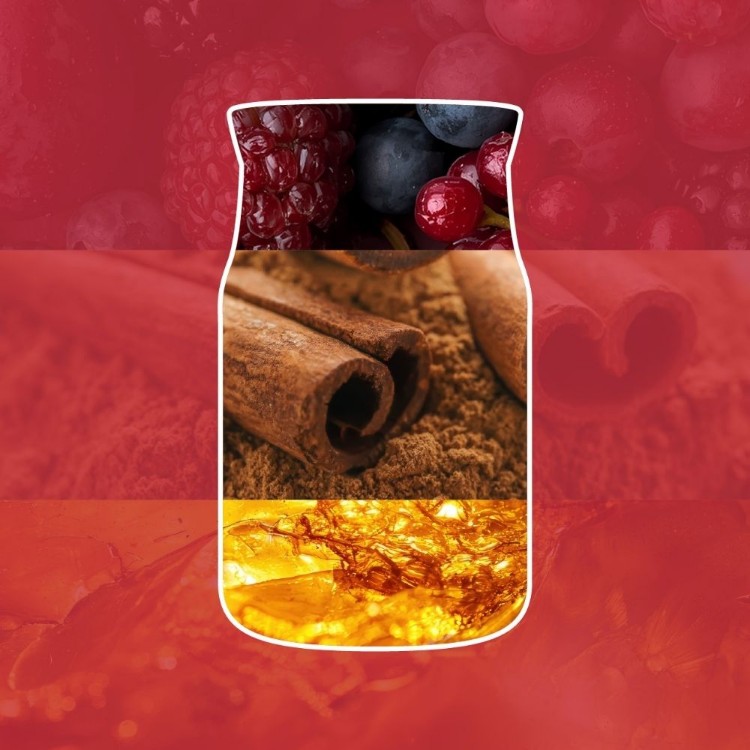 Bild von Christmas Eve Signature Wax Melts
