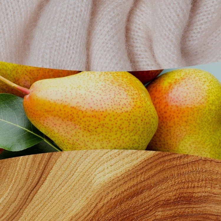 Bild von Cashmere Ellipse
