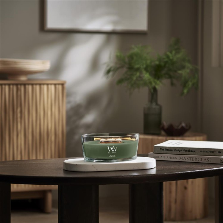 Image de Fraser Fir Ellipse